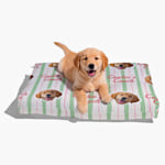 Example 4 of selected product