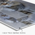 An acrylic photo block personalized with a cat photo, with a note that reads: “Durable 1” thick acrylic”. 