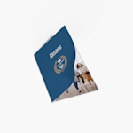 Eksempel 1 på det valgte produkt