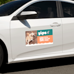 car door magnets