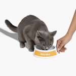 Example 5 of selected product