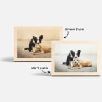 Two tabletop wood prints both featuring dog photos, with notes that you can choose a natural finish or white finish.