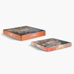 2 colorful flat shipping box samples.