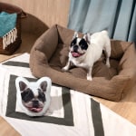 A French bulldog is sitting beside a dog face pillow that features its own face.