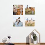 A set of photo tiles displayed on a wall and printed with pictures of a family in a meadow.