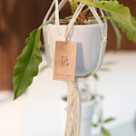 Example 8 of selected product