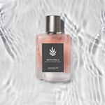 Example 4 of selected product