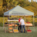 Example 2 of selected product