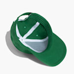 Example 6 of selected product