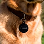 Example 4 of selected product