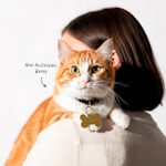 Example 2 of selected product