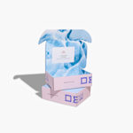 Example 2 of selected product