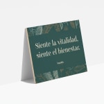 Ejemplo 2 del producto seleccionado