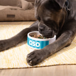 Un perro comiendo de un plato para mascotas personalizado con su nombre: Oso