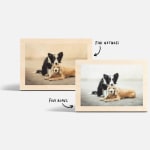 Deux impressions sur bois pour table présentant toutes deux des photos de chiens, avec des notes selon lesquelles vous pouvez choisir un finition naturel ou un blanc.
