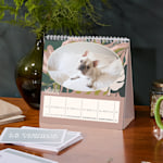 Un calendario da tavolo quadrato raffigurante un cane.