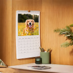 En personlig tilpasset veggkalender på en vegg, med et bilde av en golden retriever.