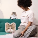 Eksempel 4 for valgte produkt