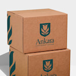 Voorbeeld 4 van geselecteerd product