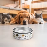Uma tigela branca para cão personalizada com vários desenhos de cães, ossos e patas. Dois gatos e um cão a olharem para a tigela a partir de trás.
