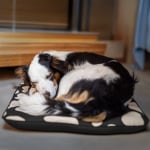 Exemplo 1 do produto selecionado