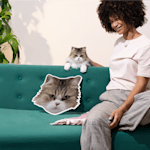 Exemplo 1 do produto selecionado