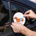 Exemplo 4 do produto selecionado