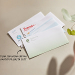 En uppsättning DL-kuvert som specialdesignats för olika företag, med en kommentar om att det finns stilar som framhäver din logotyp.