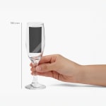 A champagne flute with a line showing its height; 196mm