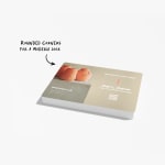 packaging inserts for boxes