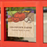 Window decal stickers