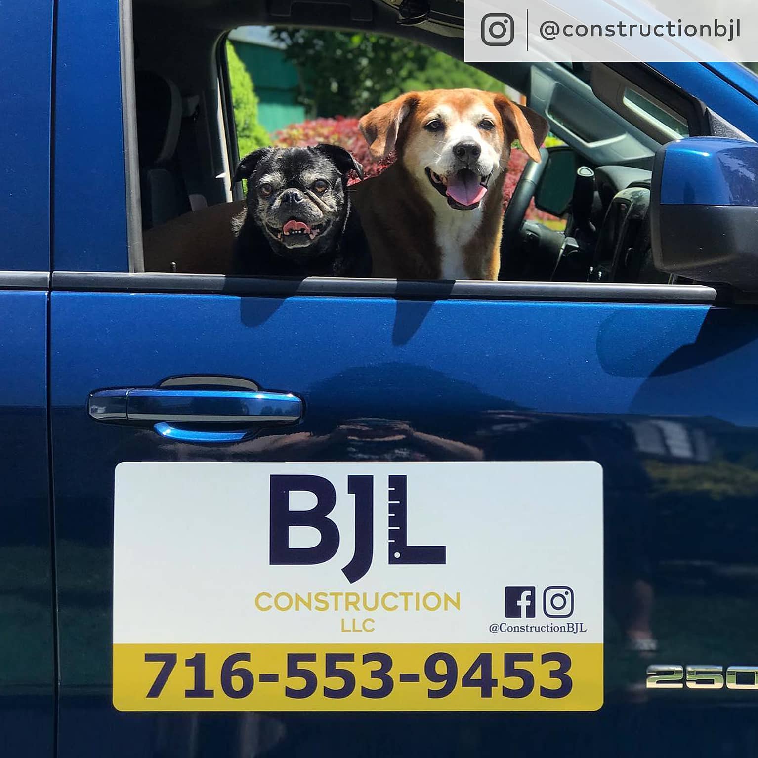 d i t 6 MAGNETS / 2 X DOGS IN TRANSIT VEHICLE SIGNS STICKERS 