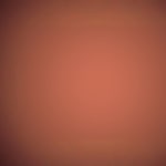 Voorbeeld 4 van geselecteerd product